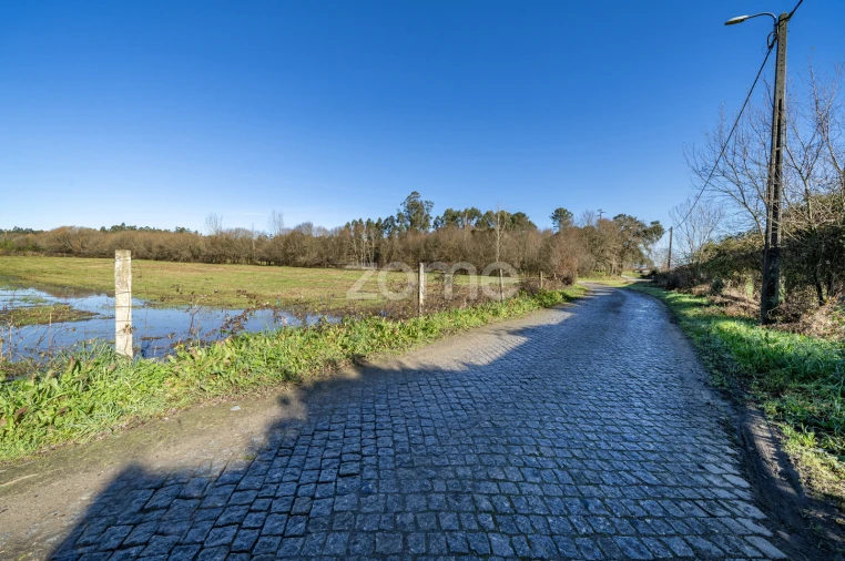 Terreno para Venda em Cabanelas Foto 14