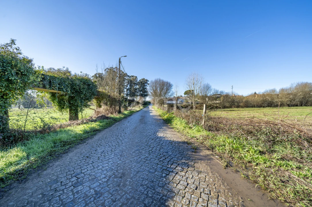 Terreno para Venda em Cabanelas Foto 10