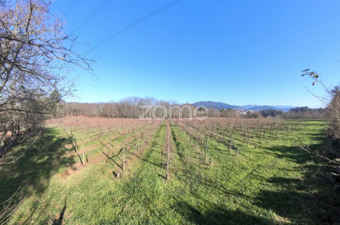 Terreno para Venda em Barreiros Foto 17
