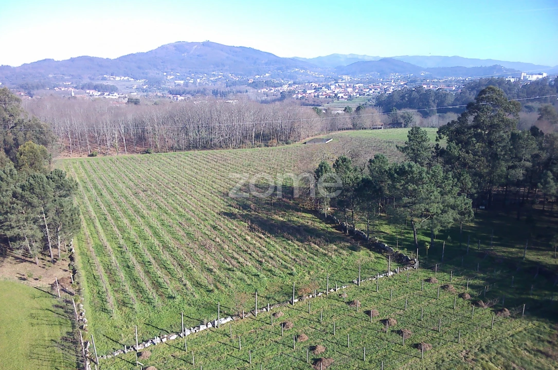 Terreno para Venda em Barreiros Foto 19