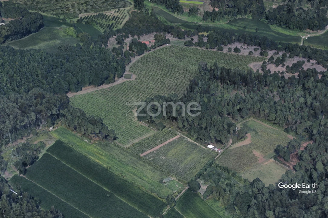 Terreno para Venda em Barreiros Foto 20