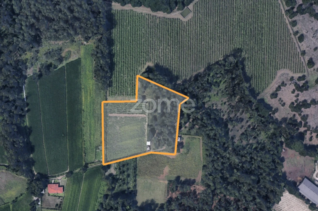 Terreno para Venda em Barreiros Foto 21