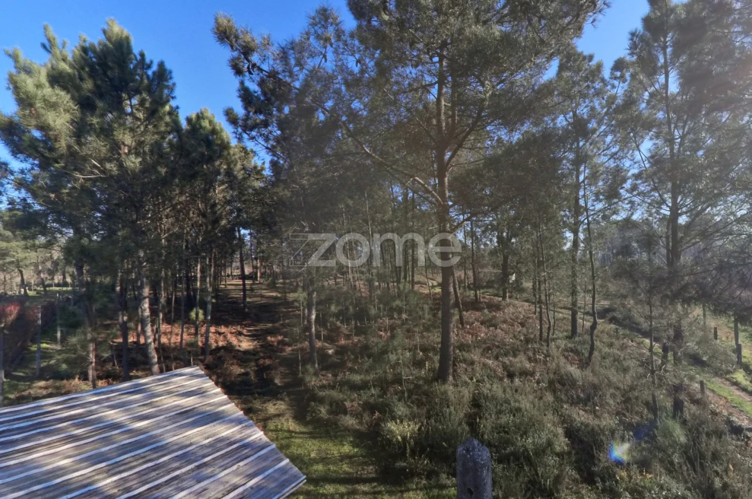 Terreno para Venda em Barreiros Foto 6