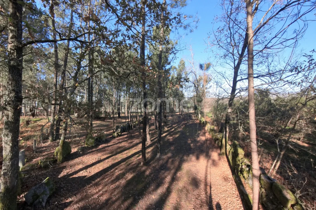 Terreno para Venda em Barreiros Foto 12