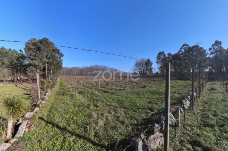 Terreno para Venda em Barreiros Foto 4