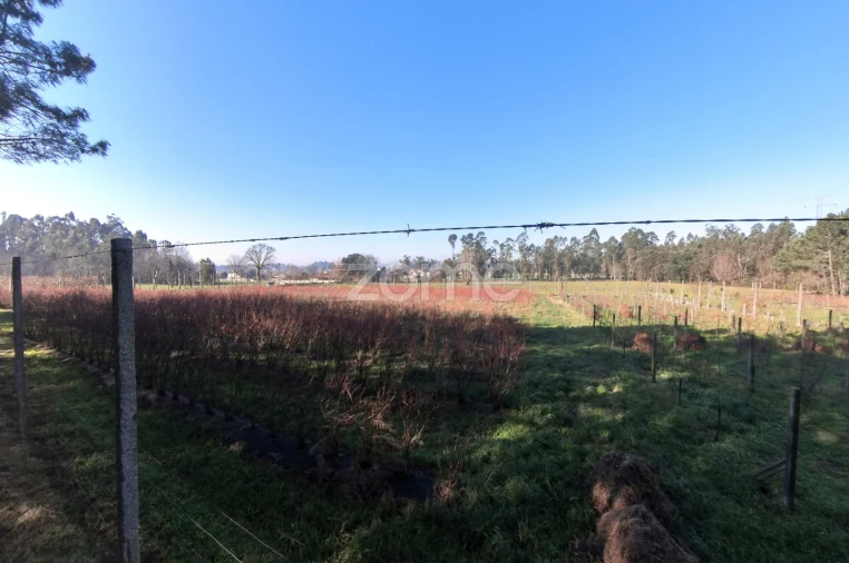 Terreno para Venda em Barreiros Foto 10