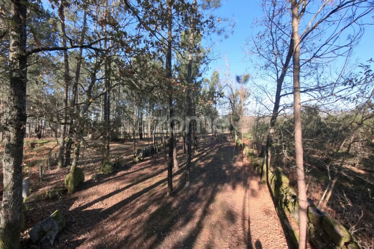 Terreno para Venda em Barreiros Foto 12