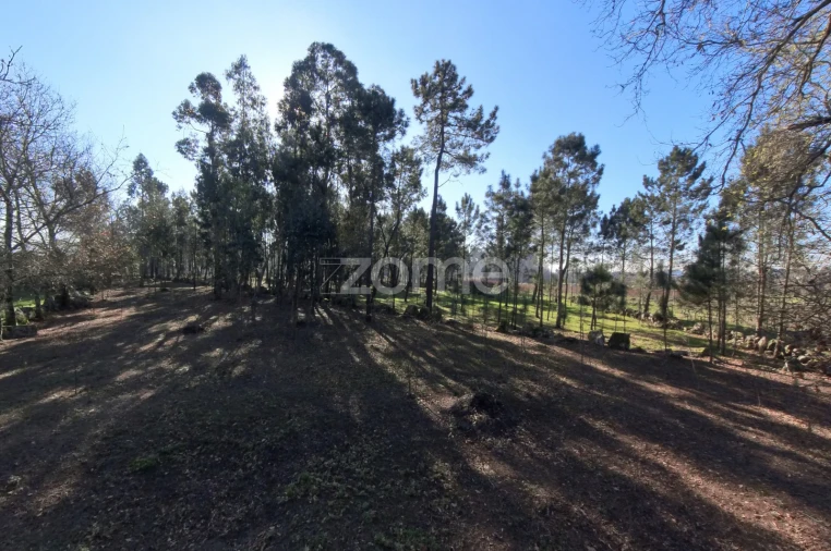 Terreno para Venda em Barreiros Foto 13