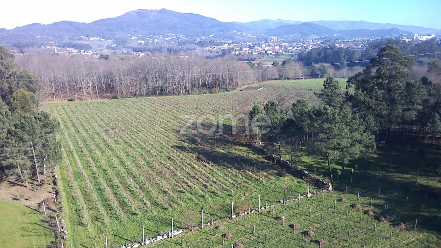 Terreno para Venda em Barreiros