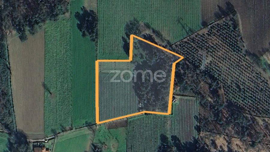 Terreno para Venda em Barreiros