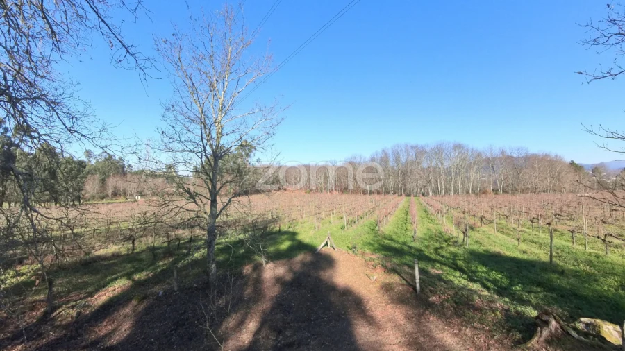 Terreno para Venda em Barreiros