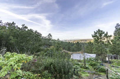 Terreno para Venda em Viseu