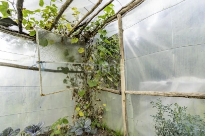 Terreno para Venda em Viseu