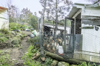Terreno para Venda em Viseu