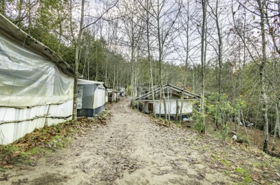 Terreno para Venda em Viseu