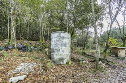 Terreno para Venda em Viseu