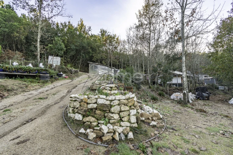 Terreno para Venda em Viseu Foto 13