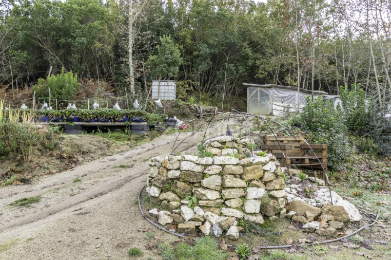 Terreno para Venda em Viseu Foto 18