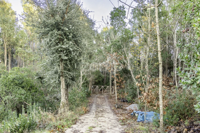 Terreno para Venda em Viseu Foto 19