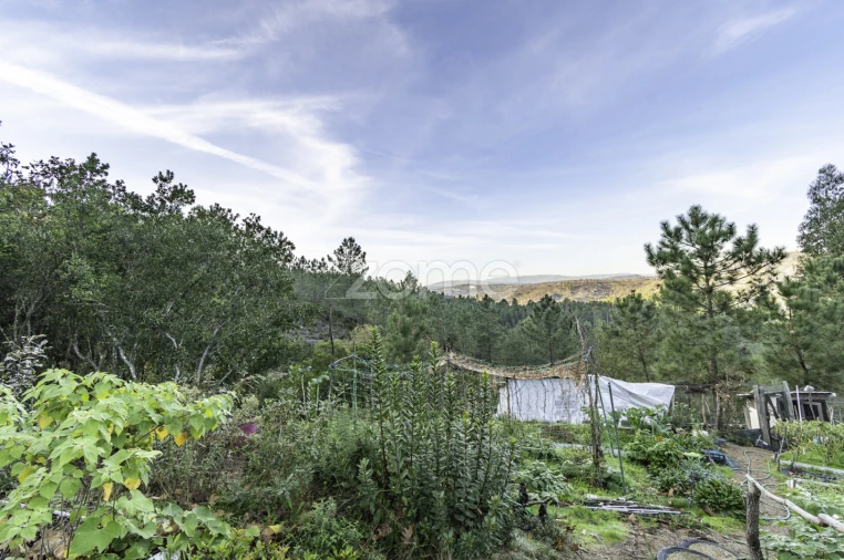 Terreno para Venda em Viseu Foto 20