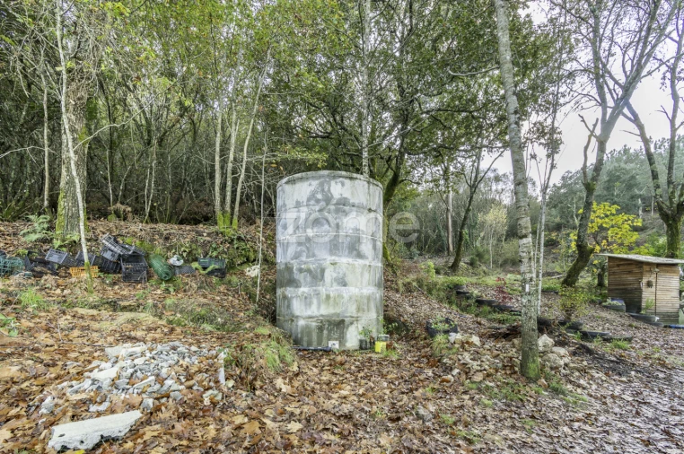 Terreno para Venda em Viseu Foto 29