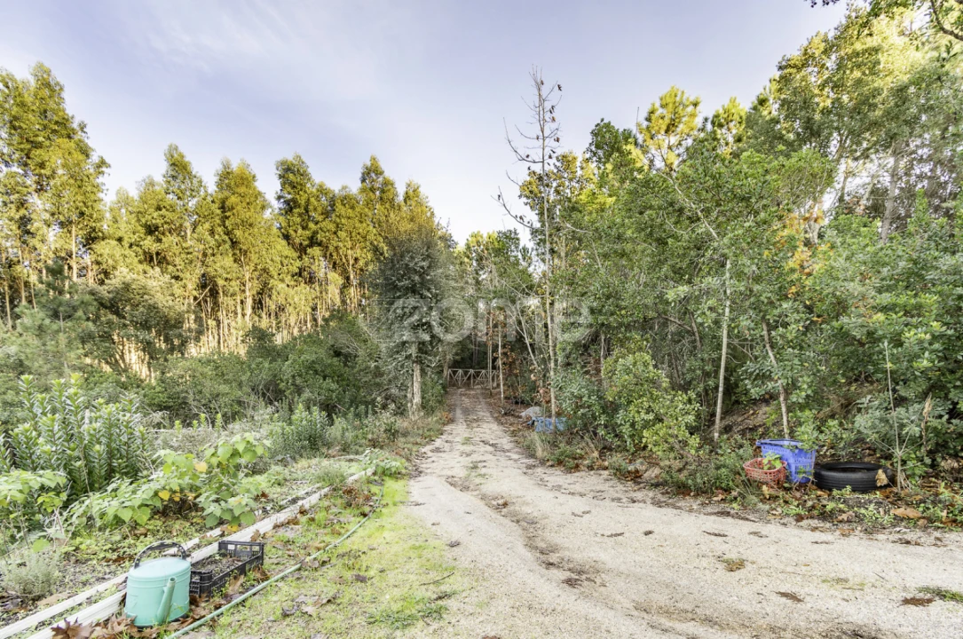 Terreno para Venda em Viseu Foto 17