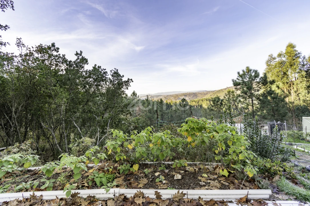 Terreno para Venda em Viseu Foto 15