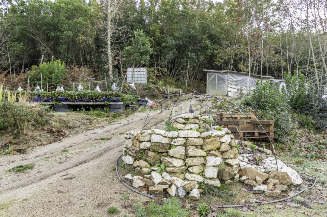 Terreno para Venda em Viseu Foto 18