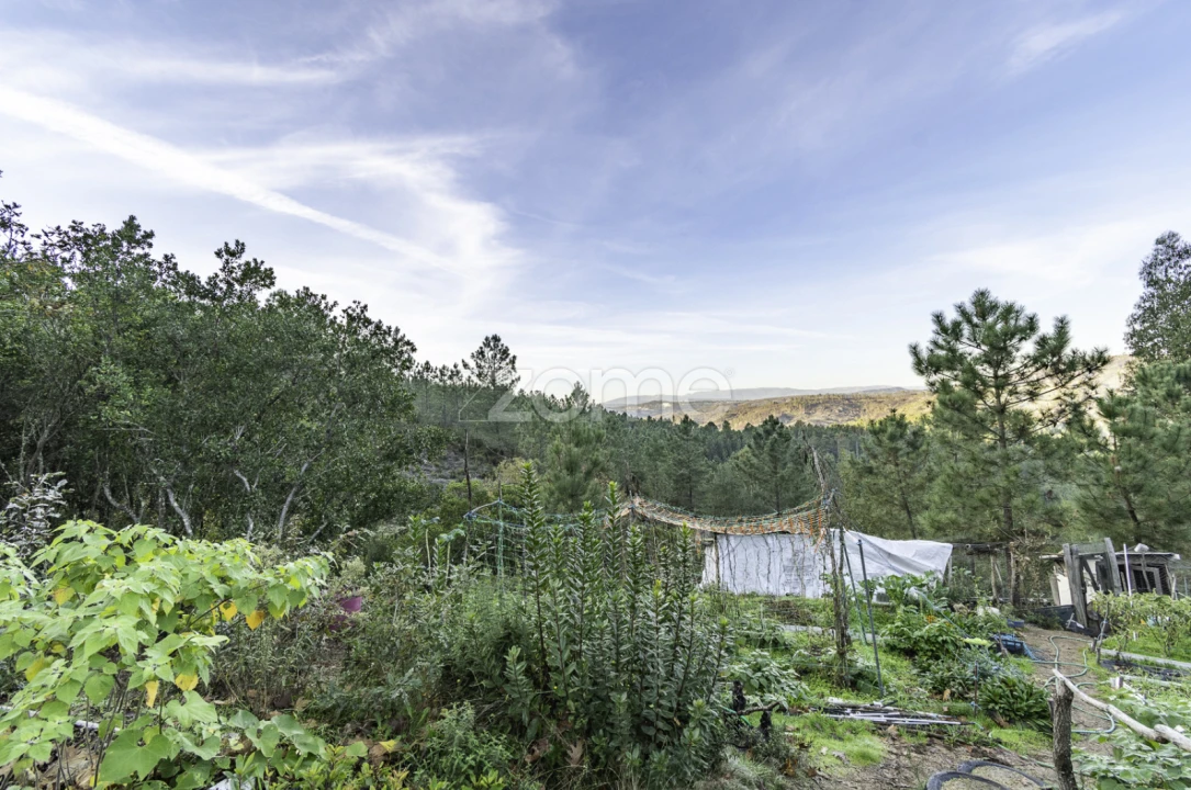 Terreno para Venda em Viseu Foto 20