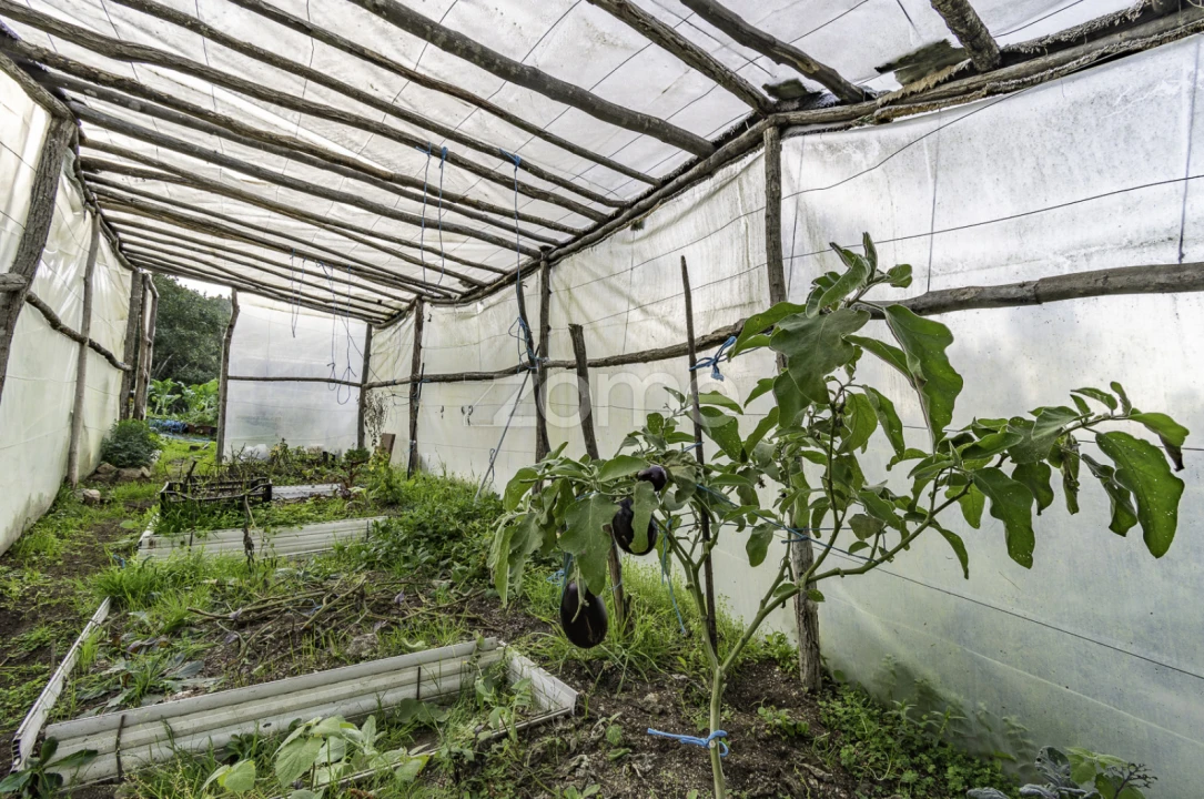 Terreno para Venda em Viseu Foto 21