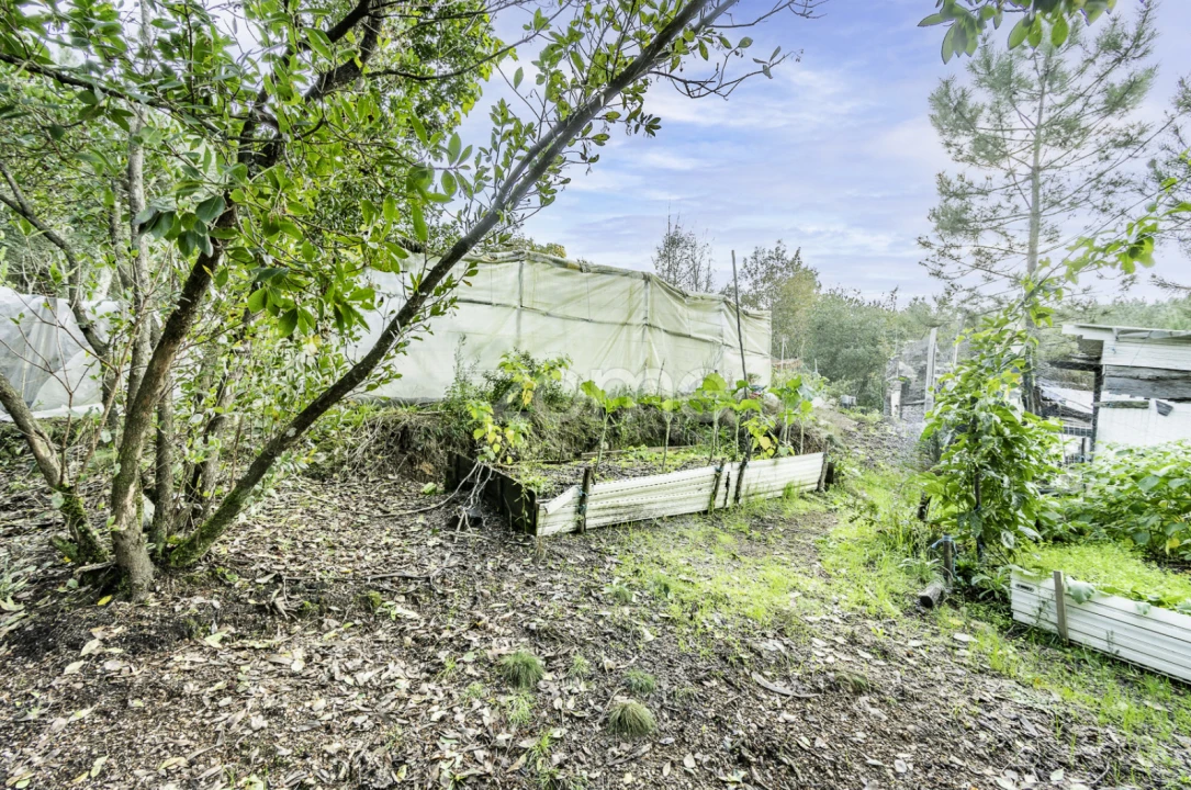 Terreno para Venda em Viseu Foto 23