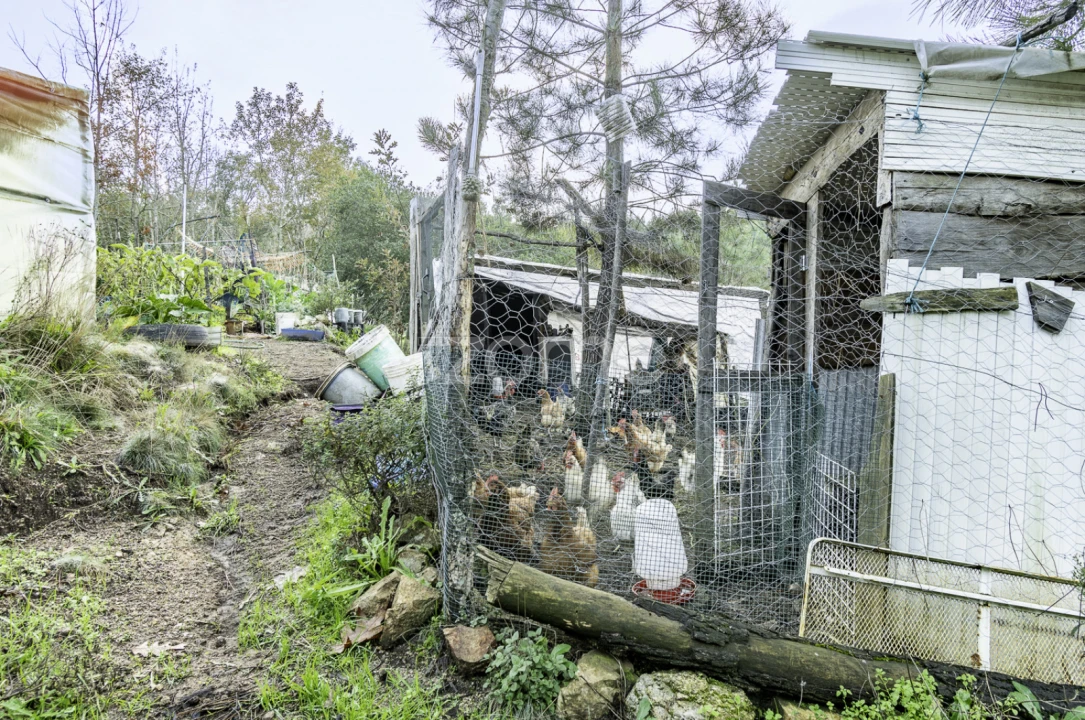 Terreno para Venda em Viseu Foto 24