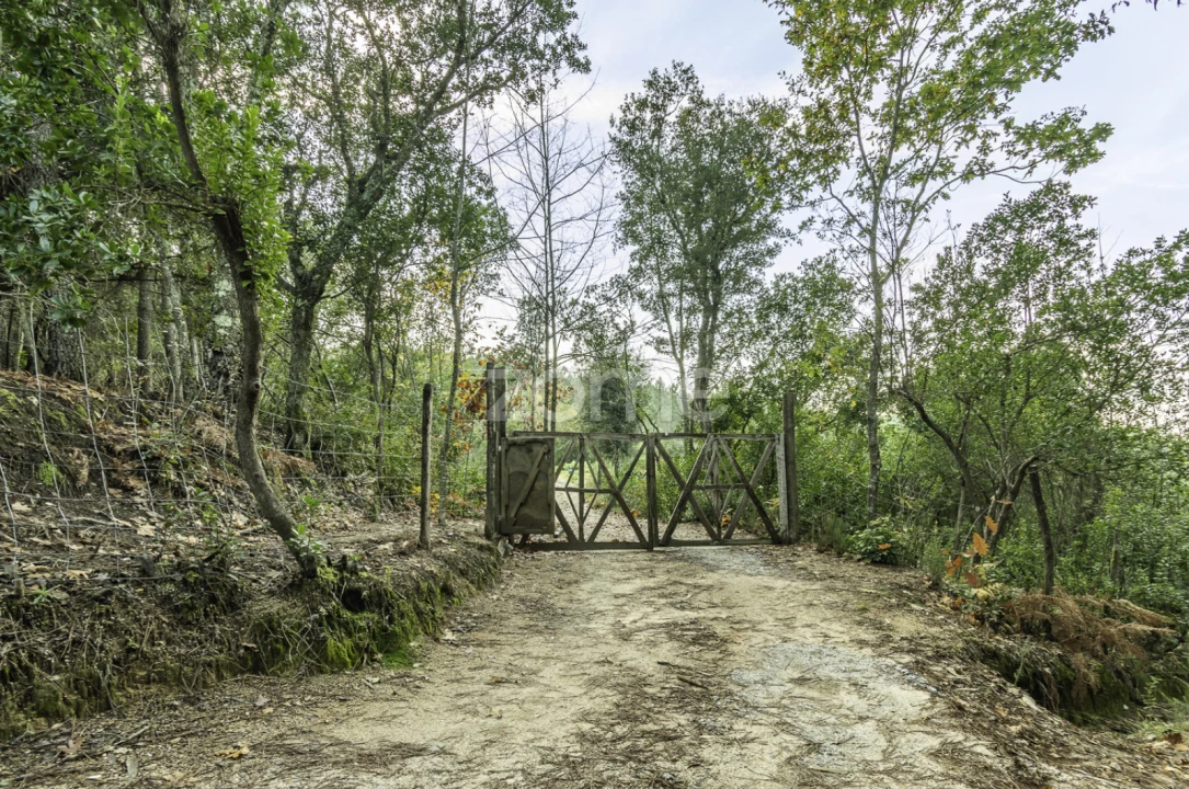 Terreno para Venda em Viseu Foto 25