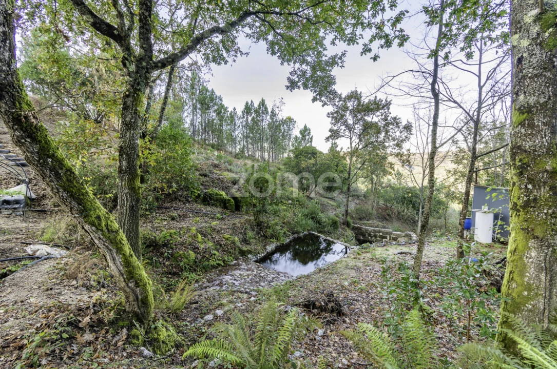 Terreno para Venda em Viseu Foto 12
