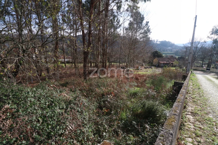 Terreno para Venda em Vale Foto 3