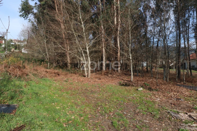 Terreno para Venda em Vale Foto 10