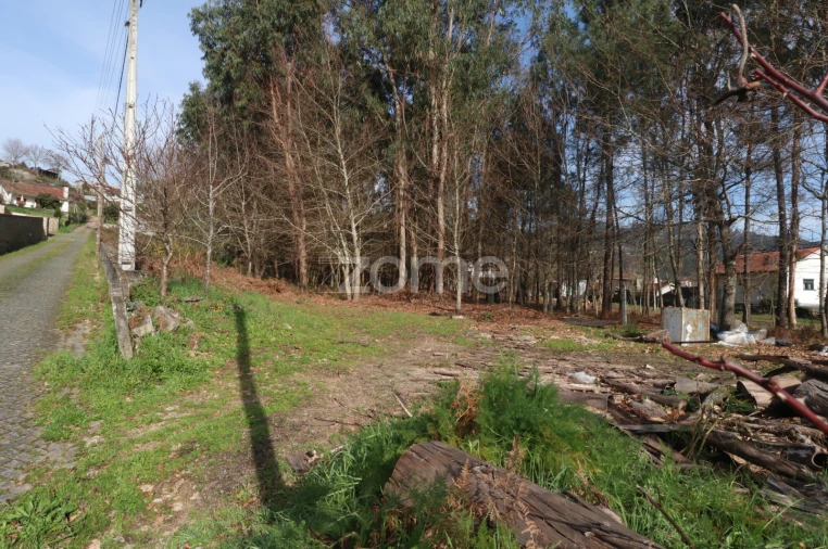 Terreno para Venda em Vale Foto 6