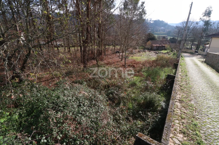 Terreno para Venda em Vale Foto 7