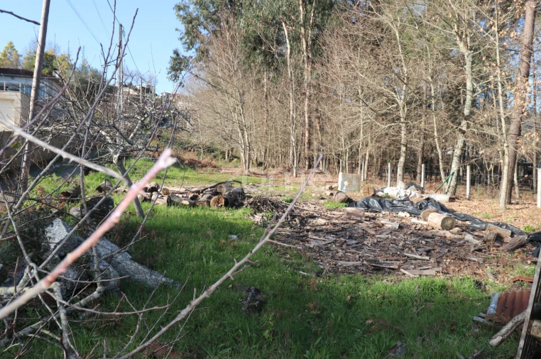 Terreno para Venda em Vale Foto 17