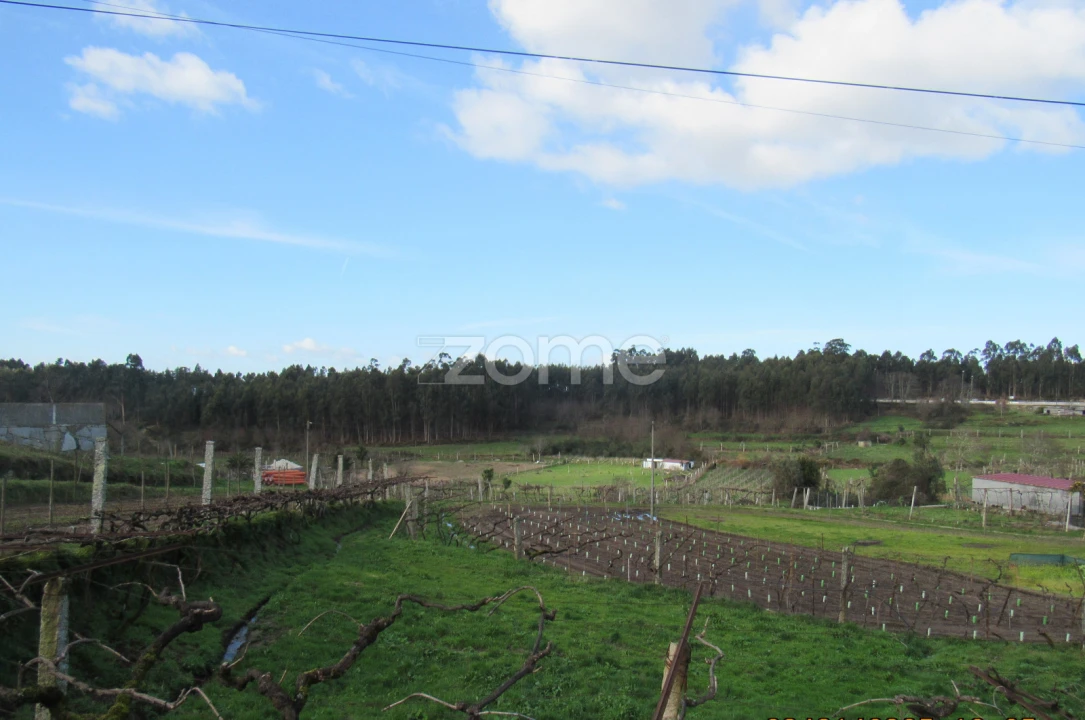 Moradia T2 para Venda em Penafiel Foto 17