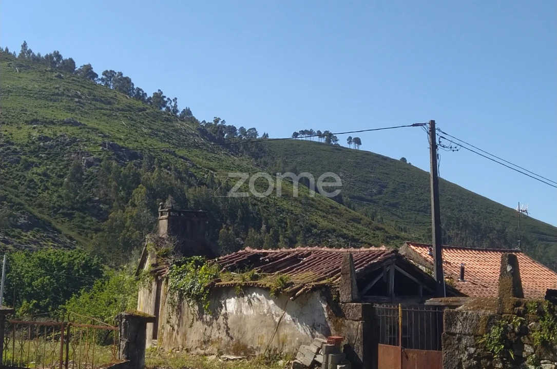 Moradia T3 para Venda em Rebordões (Santa Maria) Foto 5