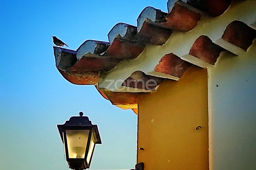 Moradia T4 para Arrendamento em Santa Maria e São Miguel, São Martinho, São Pedro Penaferrim Foto 35