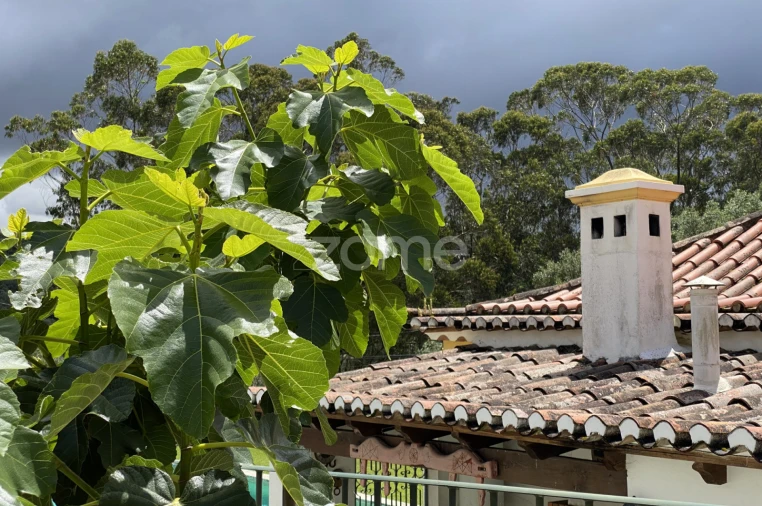 Moradia T4 para Arrendamento em Santa Maria e São Miguel, São Martinho, São Pedro Penaferrim Foto 34