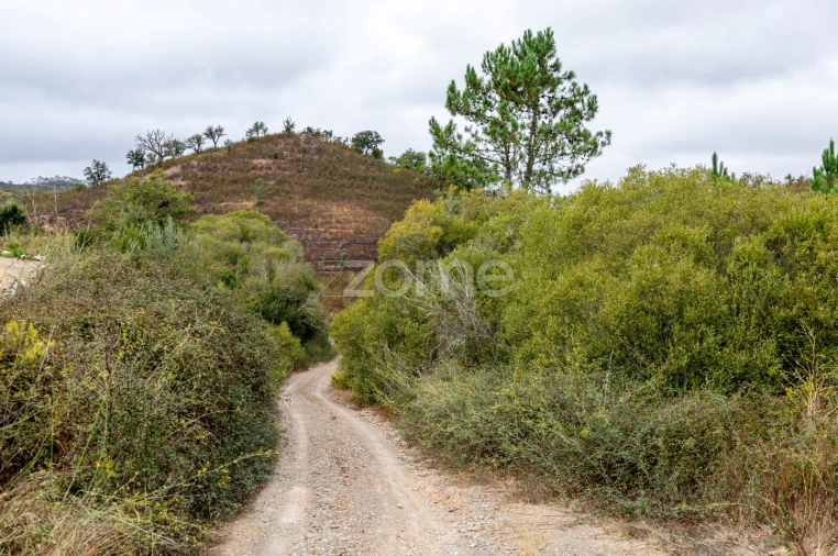 Quinta T2 para Venda em São Salvador e Santa Maria Foto 15