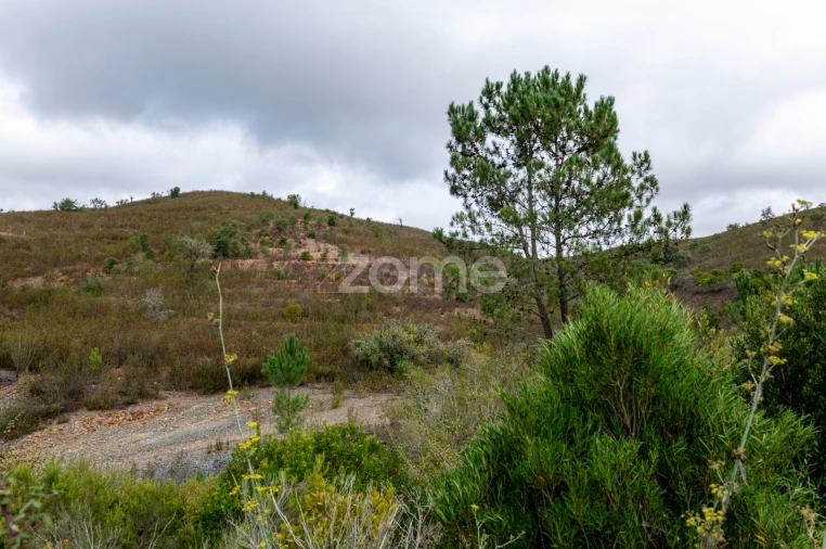 Quinta T2 para Venda em São Salvador e Santa Maria Foto 20