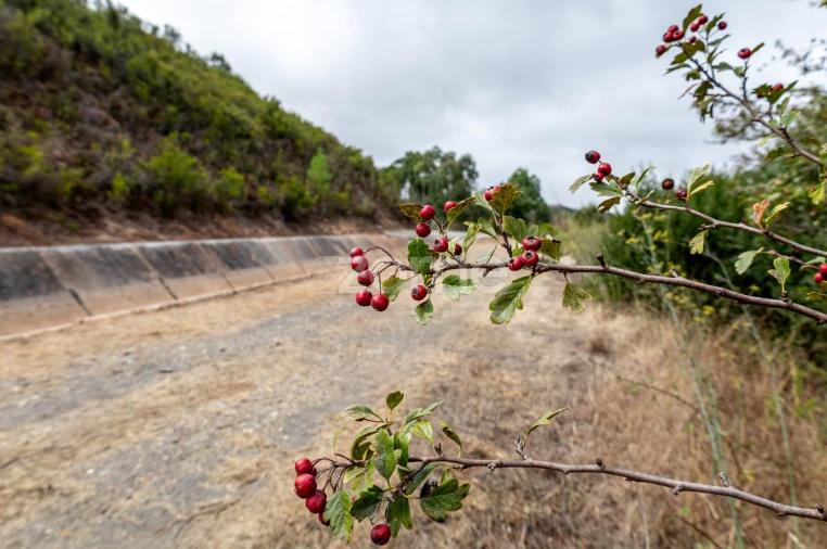 Quinta T2 para Venda em São Salvador e Santa Maria Foto 21