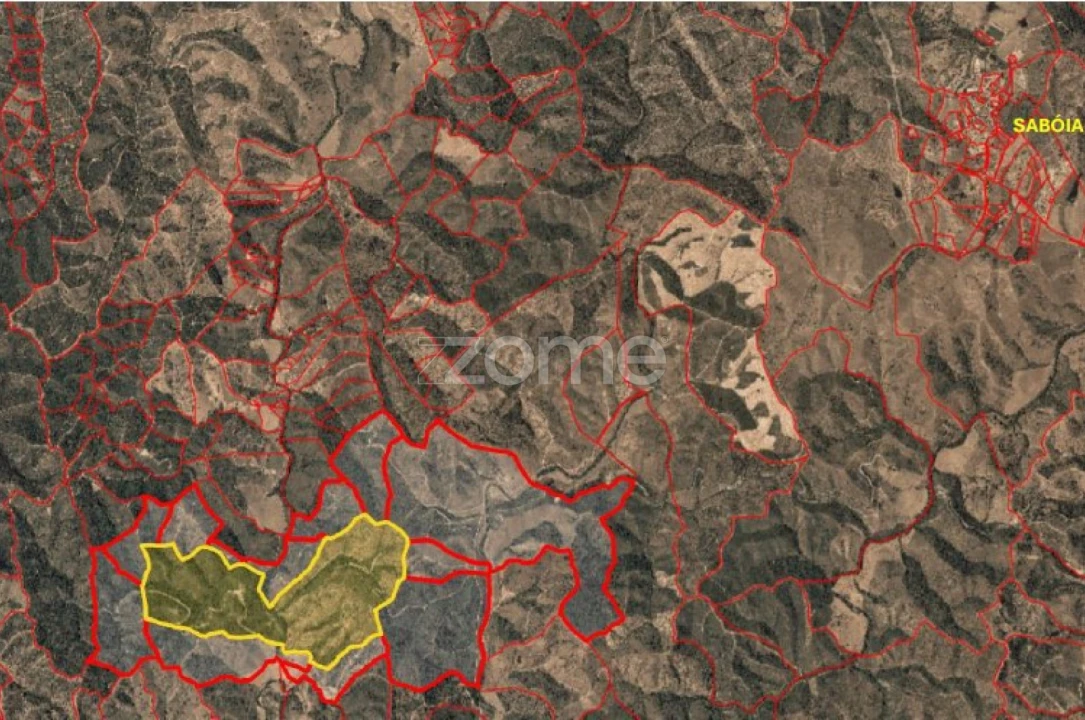 Quinta T2 para Venda em São Salvador e Santa Maria Foto 22