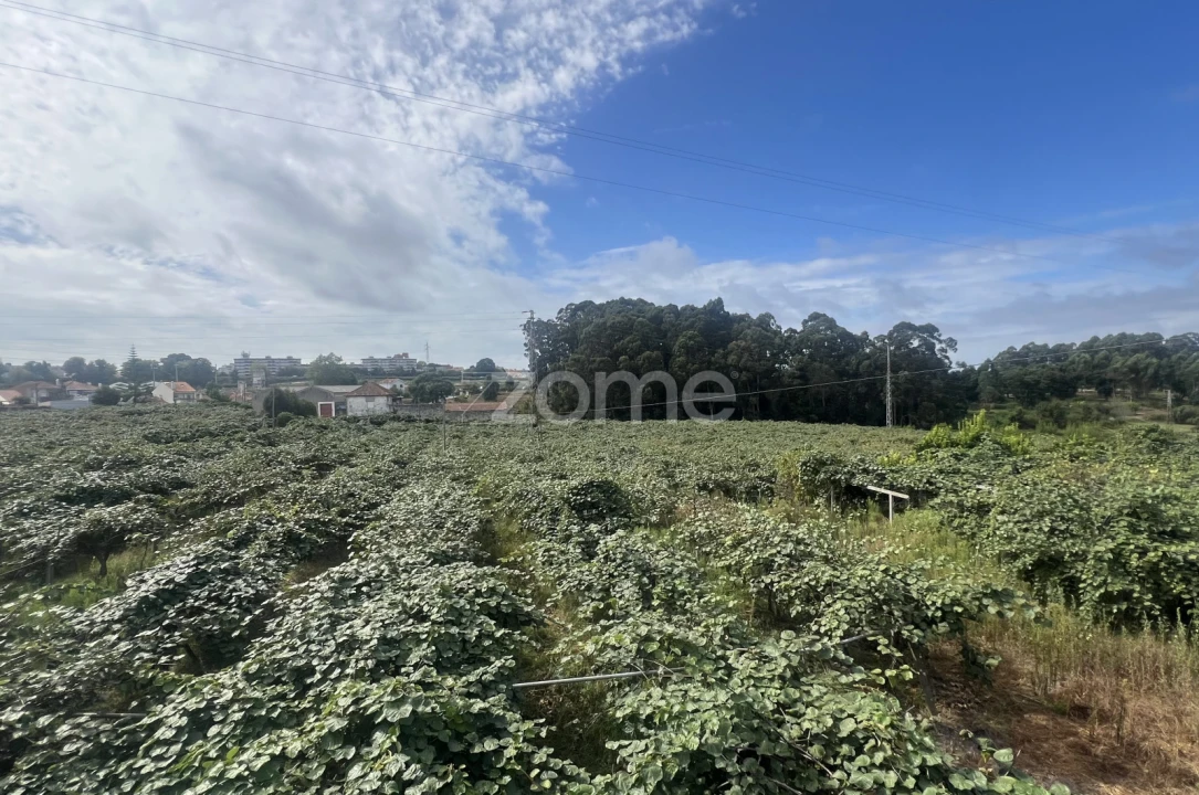 Moradia T5 para Venda em São Mamede de Infesta e Senhora da Hora Foto 5