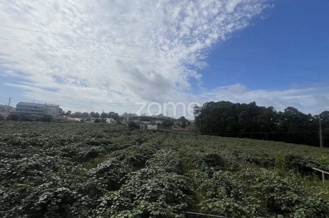 Moradia T5 para Venda em São Mamede de Infesta e Senhora da Hora Foto 13