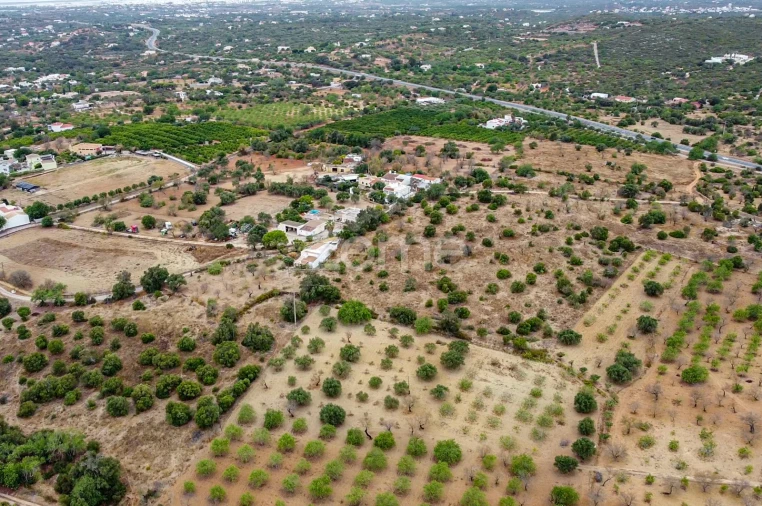 Terreno para Venda em Moncarapacho e Fuseta Foto 7